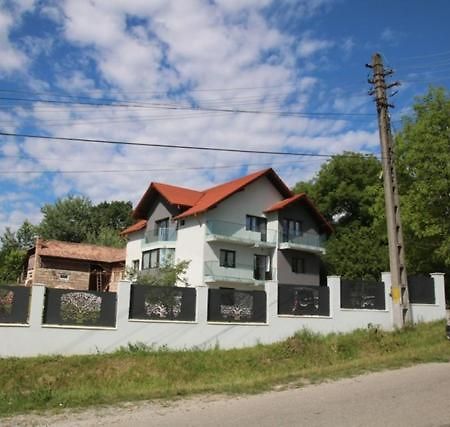 Pensiunea Albero Curtea De Arges Ngoại thất bức ảnh